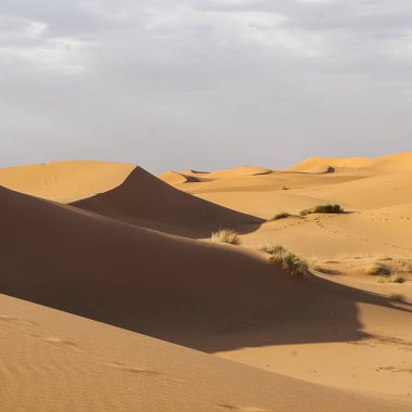 Fas 'tan Erg Chebbi