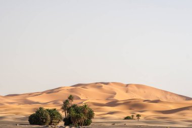 Fas 'tan Erg Chebbi