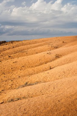 OUALIDIA, MOROCCO - CIRCA EPTEMBER 2014: Oualidia 'nın Eylül 2014' te Oualidia 'da görülmesi.