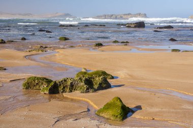 OUALIDIA, MOROCCO - CIRCA EPTEMBER 2014: Oualidia 'nın Eylül 2014' te Oualidia 'da görülmesi.