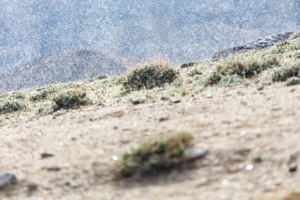 Utsikt Över Tusentals Små Flugor Bulunkul Sjön Tadzjikistan — Stockfoto