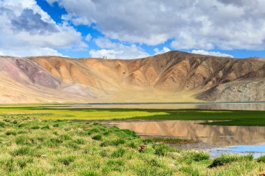 Tacikistan 'da Pamir' de Bulunkul Gölü 'nün güzel manzarası