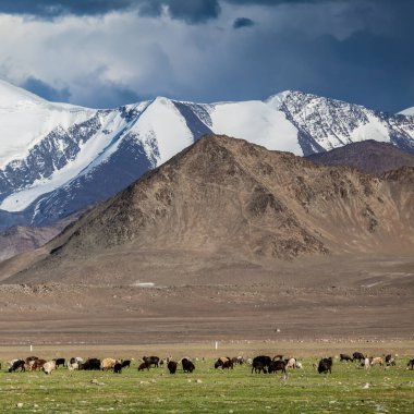 Tacikistan 'daki Pamir' in güzel manzarası