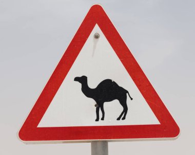 Güzel yol işareti dikkat develer.