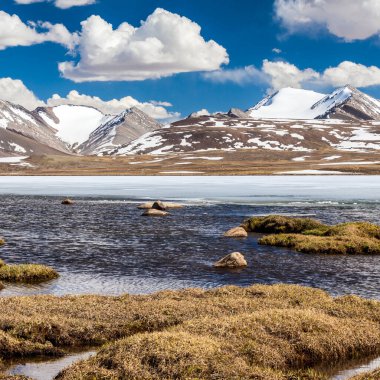 Kırgızistan 'ın Issyk Kul Bölgesinde Barskoon (Arabel) Syrts