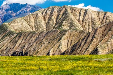 Kırgızistan 'da Kazarman yakınlarında güzel dağlar