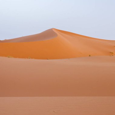 Fas 'tan Erg Chebbi