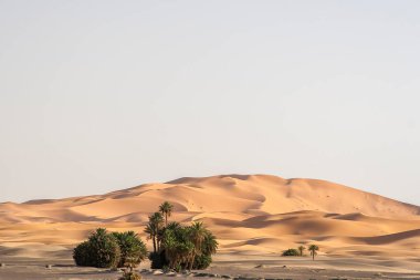 Fas 'tan Erg Chebbi