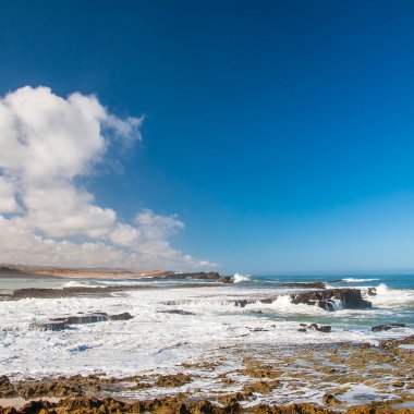 OUALIDIA, MOROCCO - CIRCA EPTEMBER 2014: Oualidia 'nın Eylül 2014' te Oualidia 'da görülmesi.
