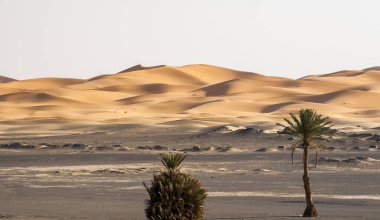 Fas 'tan Erg Chebbi