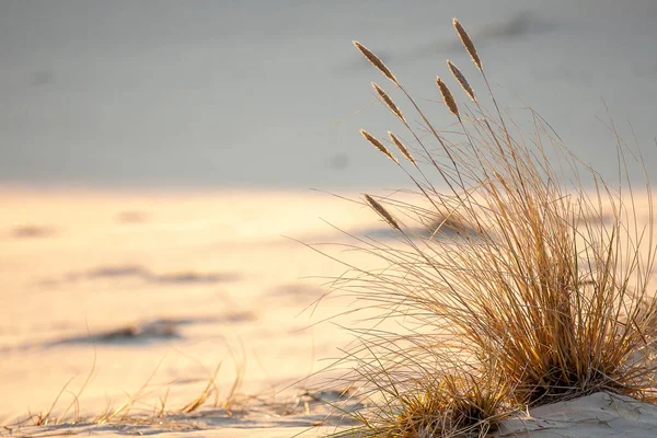 Baltic Sea — Stock Photo, Image