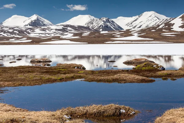 Jardines Barskoon Arabel Región Issyk Kul Kirguistán —  Fotos de Stock