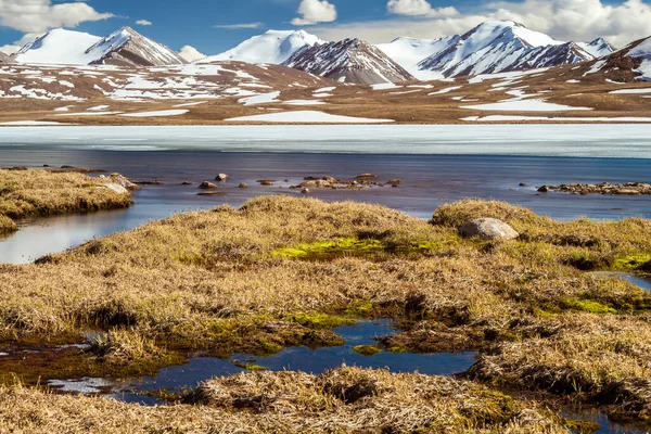 Barskoon Arabel Syrts Issyk Kul Regionen Kirgizistan — Stockfoto