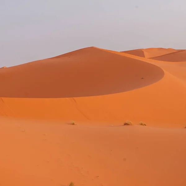 Erg Chebbi Maroc — Photo