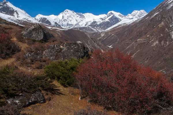 Gokyo Nepal Circa Oktober 2013 Långt Mellan Gokyo Och Machhermo — Stockfoto