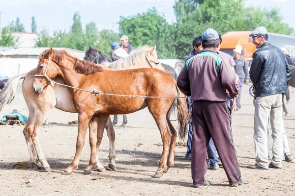 Karakol Kyrgyzstan Circa Czerwca 2017 Tygodniowy Niedzielny Targ Zwierzęcy Mieście — Zdjęcie stockowe