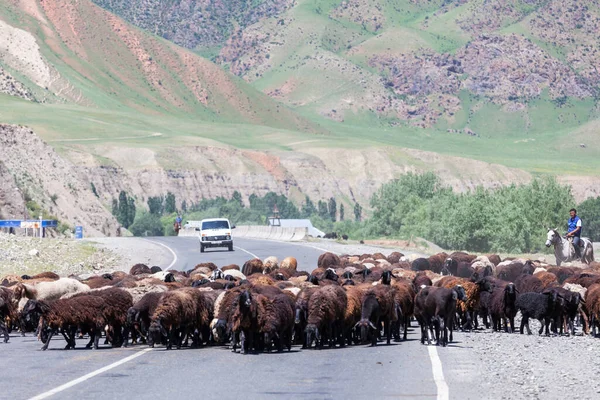 Osh Kyrgyzstan Circa June 2017 Road Osh Sara Tash Kyrgyzstan — 스톡 사진
