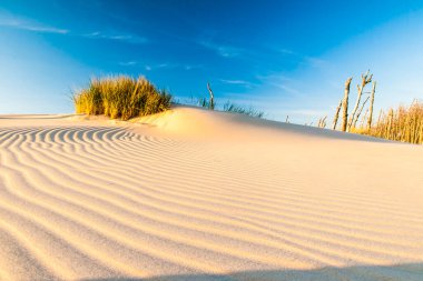 Polonya Baltık Denizi