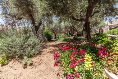 JERUSALEM, ISRAEL - CIRCA MAYIS 2018: Gethsemane 'nin görüntüsü Mayıs 2018' de Kudüs 'te.