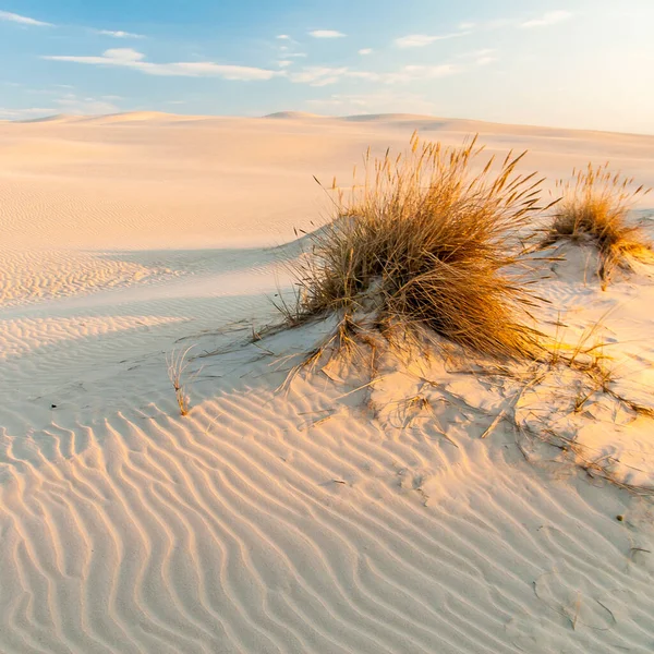 Mar Baltico — Foto Stock