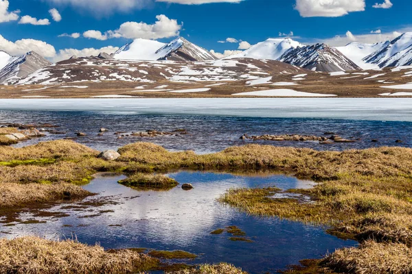 Barskoon Arabel Syrts Issyk Kul Regionen Kirgizistan — Stockfoto