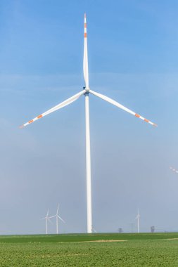 Polonya 'daki Wielowiec' deki yel değirmeni tarlalarının manzarası.