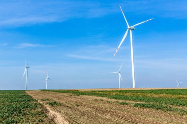 Polonya 'daki Wielowiec' deki yel değirmeni tarlalarının manzarası.