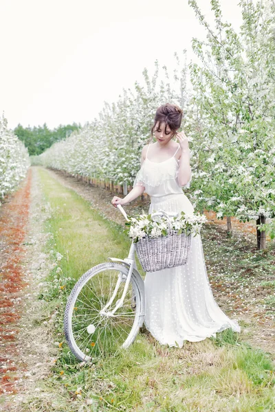 Bella gentile bella sposa ragazza in un abito bianco in piedi con la sua bicicletta nel frutteto di mele in fiore — Foto Stock
