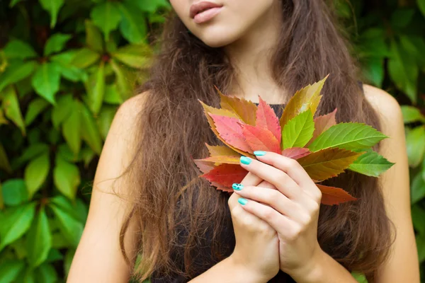 Hojas caídas de otoño en las manos de una hermosa chica con los labios llenos — Foto de Stock