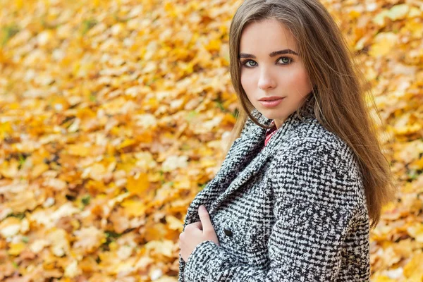 Kaunis viehättävä nuori houkutteleva tyttö, jolla on suuret siniset silmät, pitkät tummat hiukset syksyllä metsässä takki — kuvapankkivalokuva