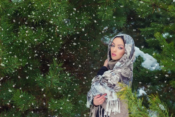 Привлекательная молодая женщина с шарфом на голове в зимнем лесу возле елок, падающий снег — стоковое фото