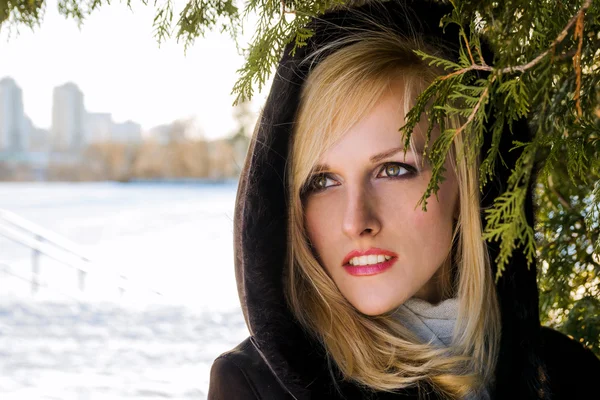 Hermosa joven sexy misteriosa mujer en la capucha en su cabeza de pie en el bosque cerca del aceite en un día brillante y helada —  Fotos de Stock