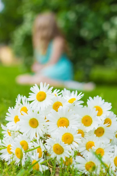 Bouquet of white daisies meadow lies on green grass — Stock Photo, Image