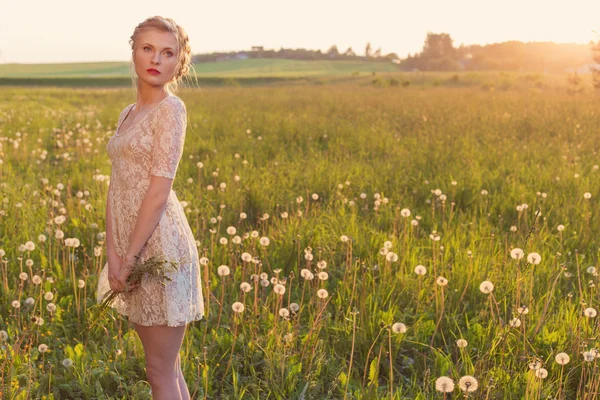 Hermosa chica dulce tierna en un vestido de encaje blanco con una guadaña en la cabeza de pie descalzo en un campo de dientes de león en la puesta del sol — Foto de Stock