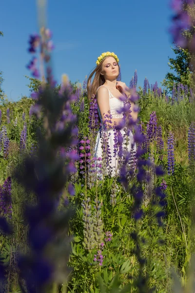 Hermosa linda chica suave en vestido blanco con una corona de rosas en la cabeza camina un campo con altramuz — Foto de Stock