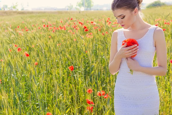 Linda menina doce bonito em vestido branco no campo de papoula com um buquê de papoulas nas mãos de — Fotografia de Stock