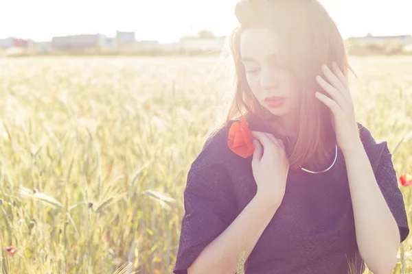 Bella ragazza carina sexy che tiene i fiori di papavero nelle sue mani al tramonto in una giornata estiva soleggiata — Foto Stock