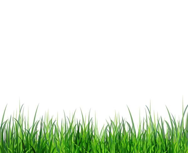 Grass green border — Stock Vector