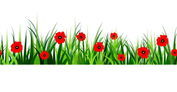 Green Grass seamless poppy — Stock Vector