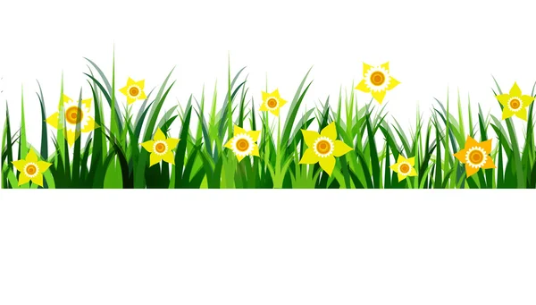 Green Grass seamless daffodils — Stock Vector