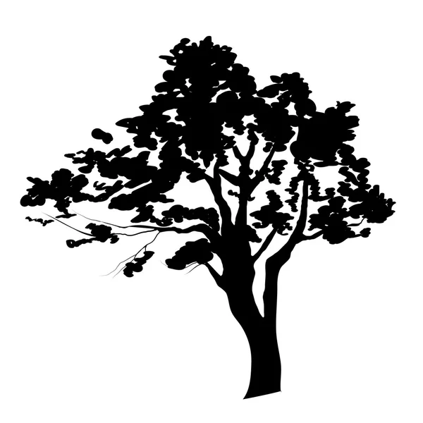 Silhueta de árvore —  Vetores de Stock