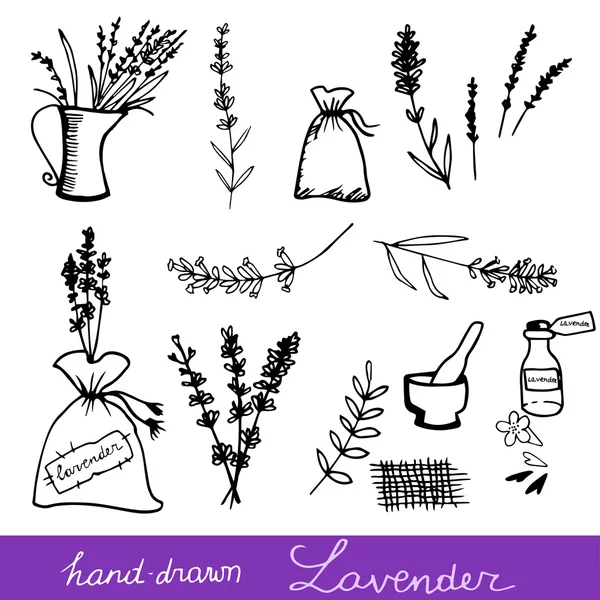 Hand getrokken lavendel set — Stockvector