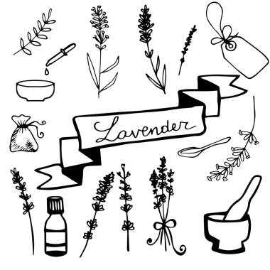 Elle çizilmiş lavanta seti