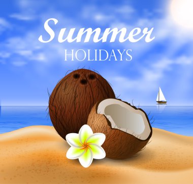 Hindistan cevizi tropikal fındık meyve