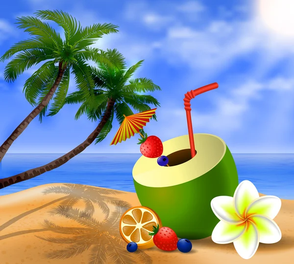 Fresh drinking coconut with a straw — Stock Vector