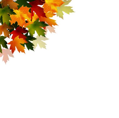 çerçeve sonbahar yaprakları