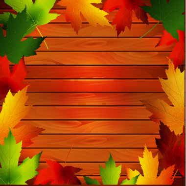 Akçaağaç yapraklı sonbahar arkaplanı