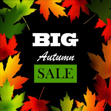 Akçaağaç yaprağı çerçeve mevsimlik satış için