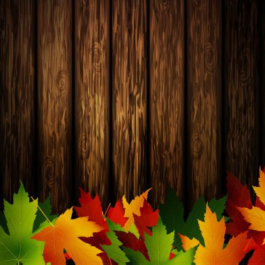 Sonbahar yaprakları ile ahşap duvar