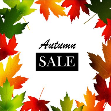 Akçaağaç yaprağı çerçeve mevsimlik satış için